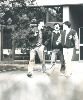 1981 — Expérimentations